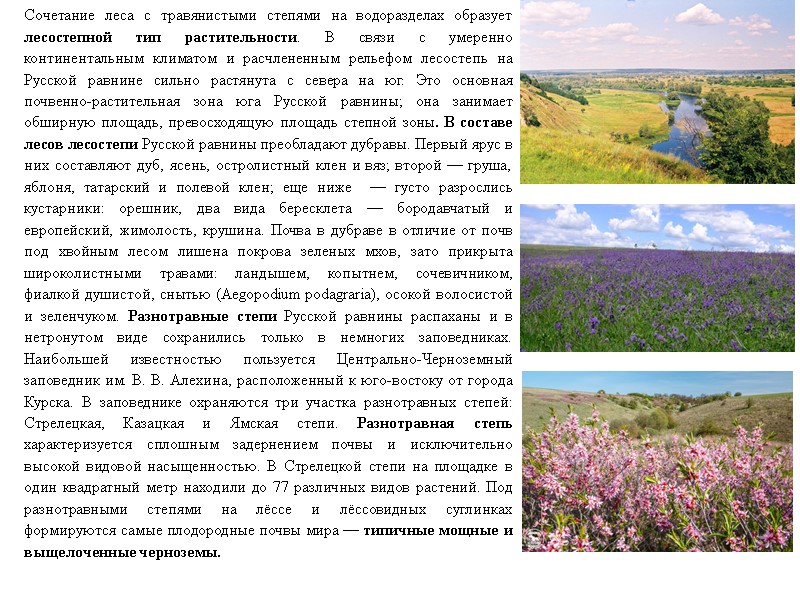 Сочетание леса с травянистыми степями на водоразделах образует лесостепной тип растительности. В связи с